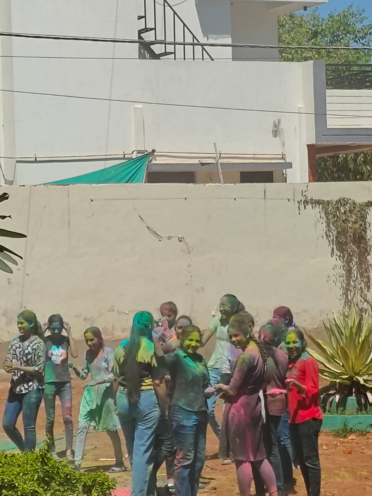 Holi celebration